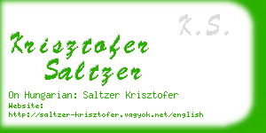 krisztofer saltzer business card